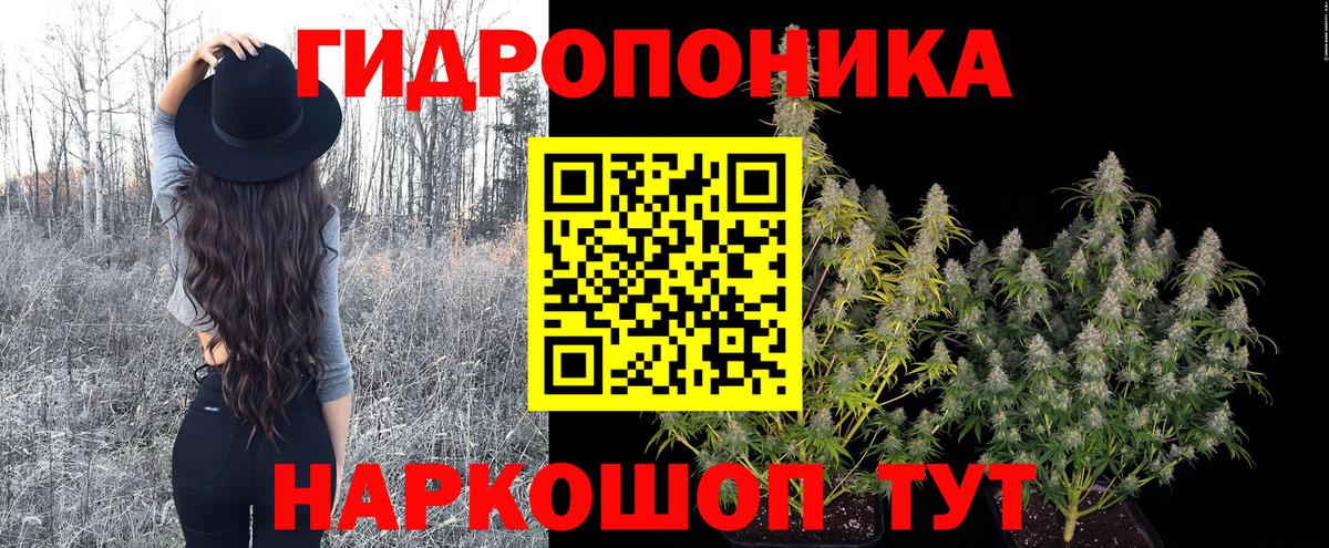Волгодонск  Марихуана семена  Вход с VPN  Бошки Шишки сатива 